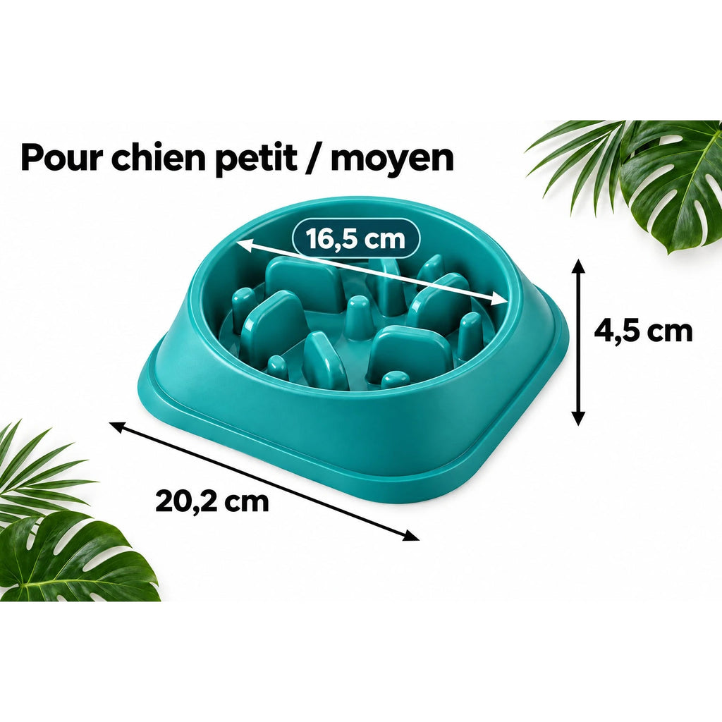 Dimensions de la gamelle anti-glouton : 20,2 × 16,5 × 4,5 cm, pour petit et moyen chien