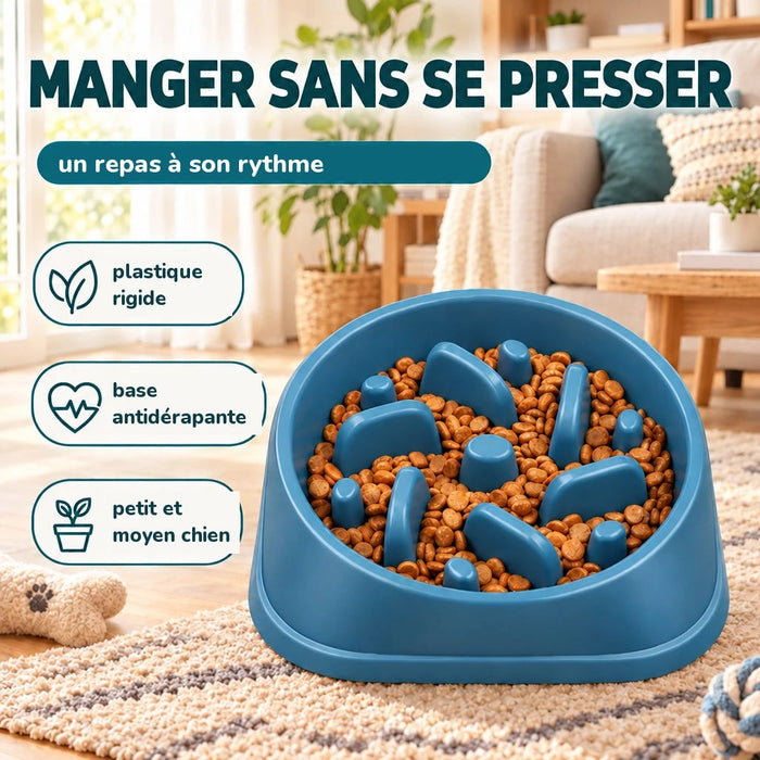 Gamelle anti-glouton pour chien : des repas plus calmes