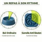 Comparaison entre un bol ordinaire et la gamelle anti-glouton : un repas à son rythme