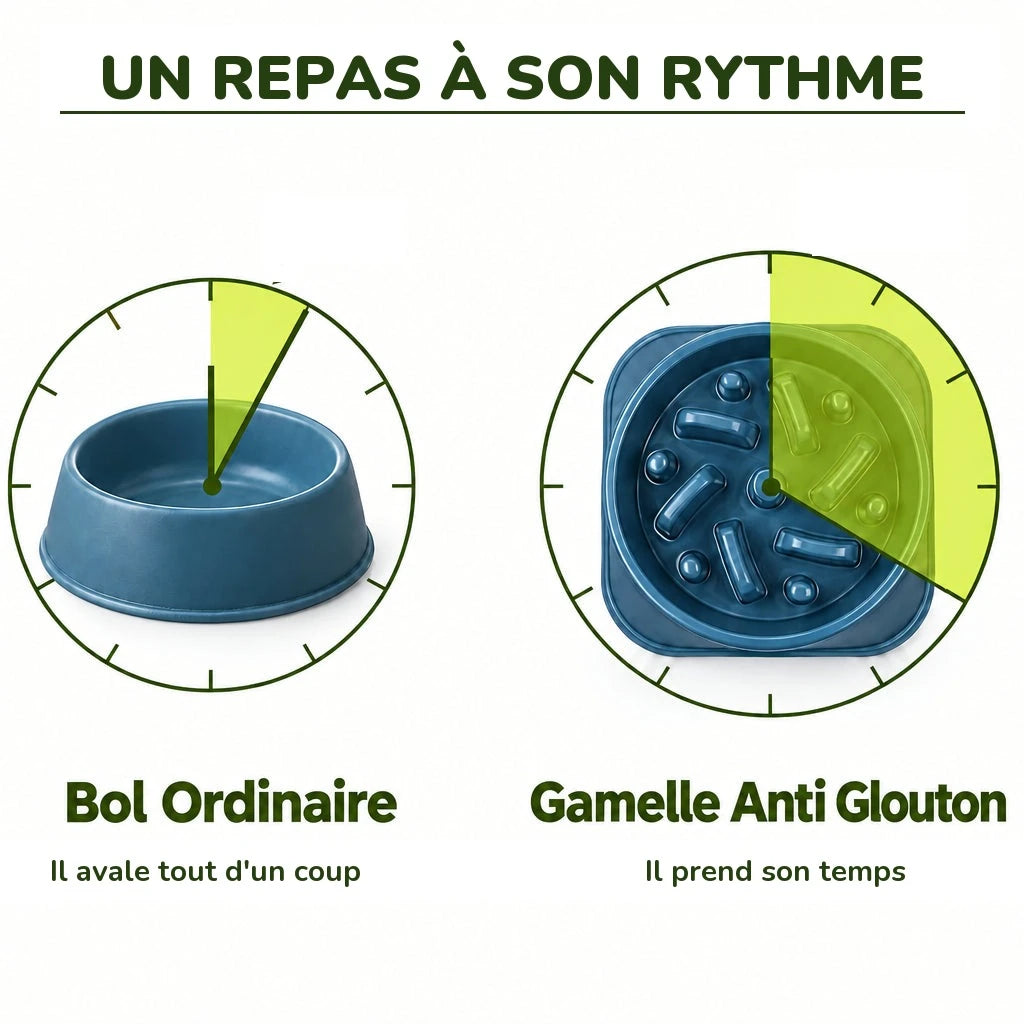 Comparaison entre un bol ordinaire et la gamelle anti-glouton : un repas à son rythme