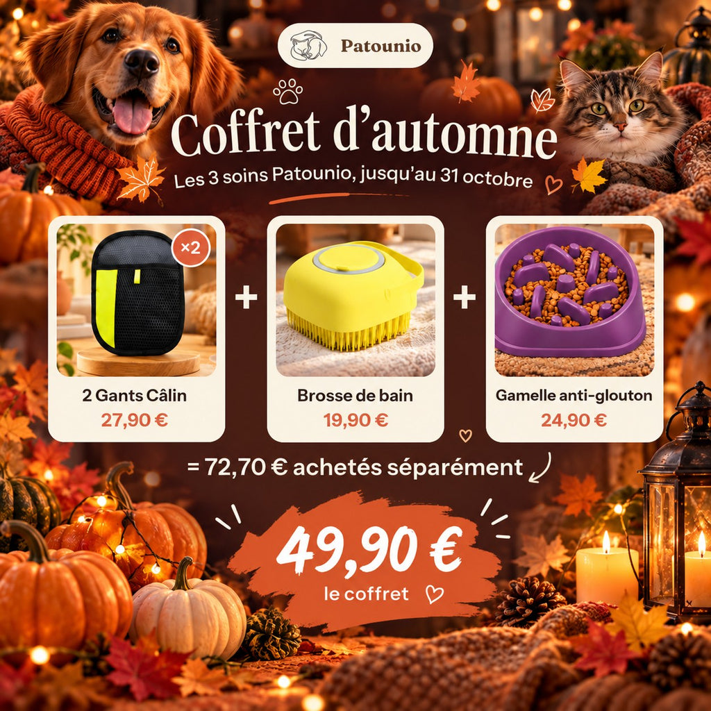 Coffret d'automne Patounio : 2 Gants Câlin, brosse de bain jaune et gamelle anti-glouton, 49,90 € le coffret au lieu de 72,70 € achetés séparément