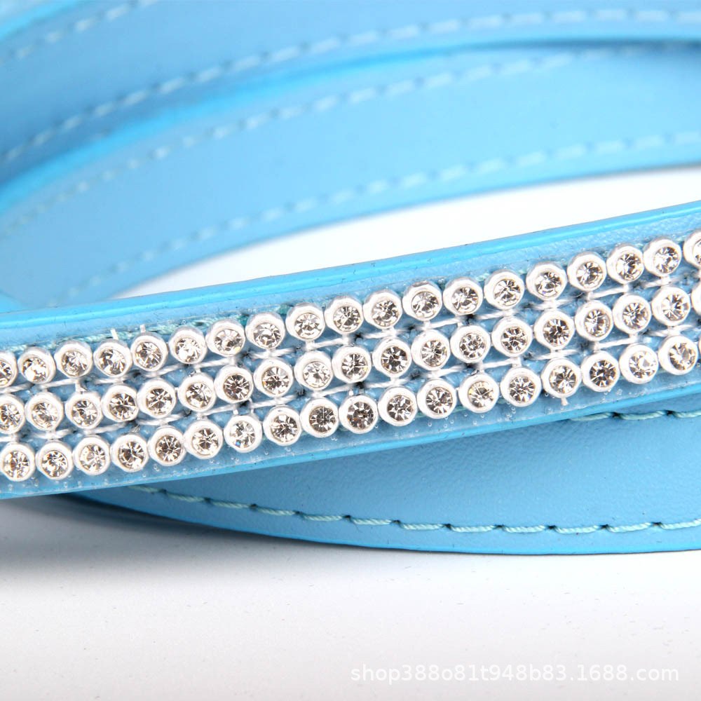 Détail des strass de la laisse bleue