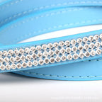 Détail des strass de la laisse bleue de l'ensemble