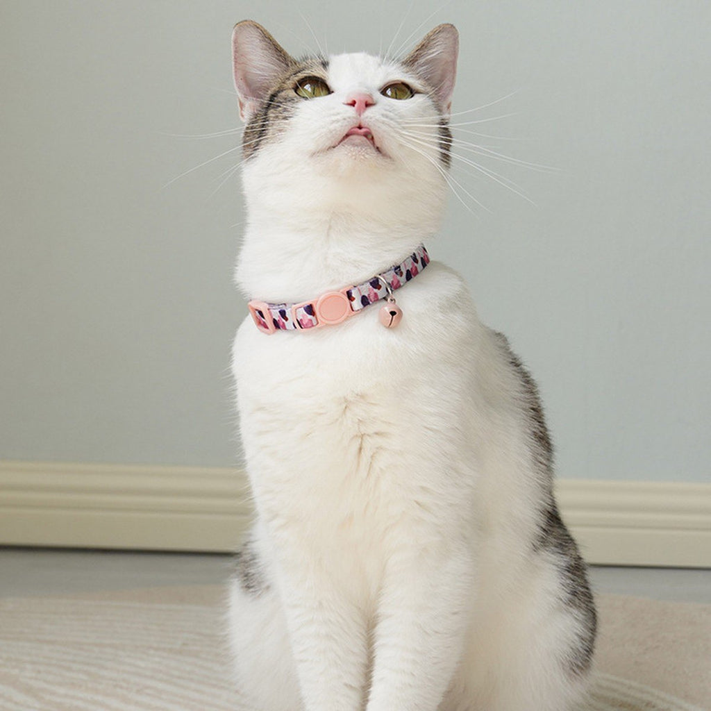 Chat assis qui porte le collier motif Pétales