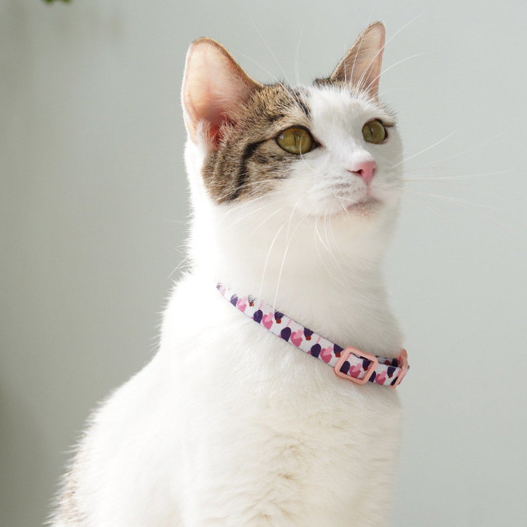 Chat de profil avec son collier motif Pétales