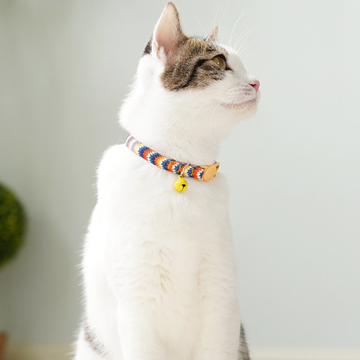 Chat assis de profil avec son collier motif Zigzag